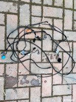 IMG_3734.jpeg