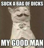 9a12305d72f8375b0da511d88614d6e8.jpg