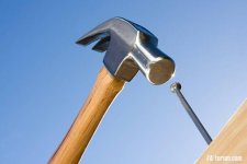 istockphoto-96319218-612x612.jpg