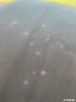 71408114-D6BE-44D9-8114-E8129B9B56D6.jpeg