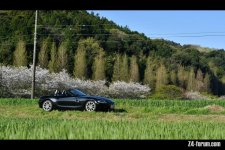 DSC_8683.jpg