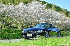 DSC_8742.jpg