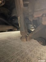 IMG_4531.jpeg