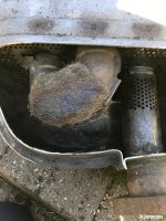 IMG_3517.jpeg