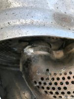 IMG_3519.jpeg