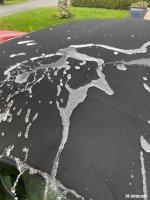 IMG_3463.jpeg