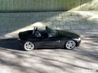 IMG_8988.jpeg IMG_8988.jpeg