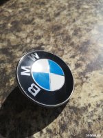 IMG_20230503_095130.jpg