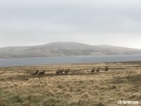 IMG_0030.jpeg