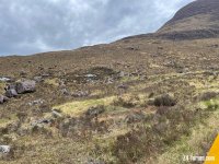 IMG_7684.jpeg
