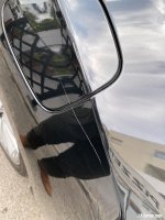 IMG_9243.jpeg