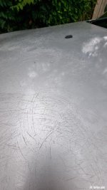 20230512_165835.jpg