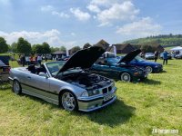 IMG_3565.jpeg