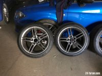IMG_7395.jpeg