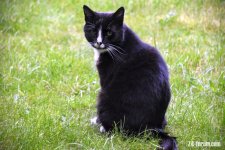 DSC_0020.JPG DSC_0020.JPG