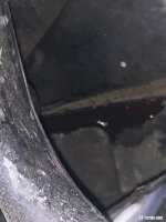 IMG_1443.jpeg