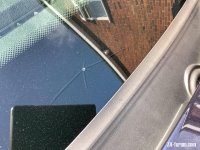 IMG_0356.jpeg