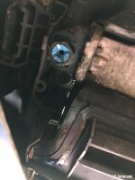 IMG_1444.jpeg