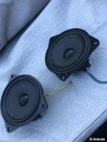 IMG_7042.jpeg