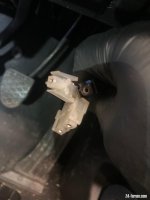 IMG_2261.jpeg