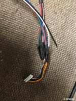 IMG_6677.jpeg