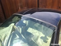IMG_8736.jpeg