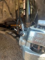 IMG_5031.jpeg