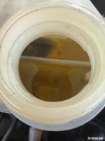 IMG_5032.jpeg