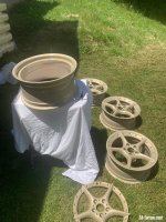 IMG_2267.jpeg