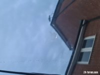 20230611_204437.jpg