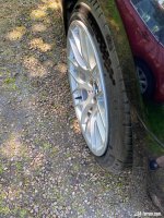 IMG_6101.jpeg