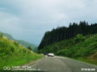 IMG_20230618_095238.jpg