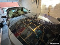 IMG_1268.jpeg
