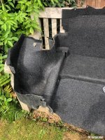 IMG_3976.jpeg