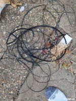 IMG_20230626_204906356.jpg