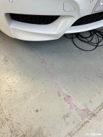 728340BC-23F9-4402-87A0-9D17085AB1EE.jpeg