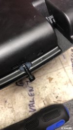 IMG_7391.jpeg IMG_7391.jpeg