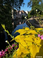 IMG_4193.jpeg IMG_4193.jpeg
