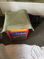 IMG_3105.jpeg