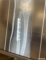 IMG_2209.jpeg