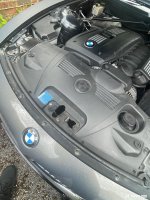 IMG_1492.jpeg