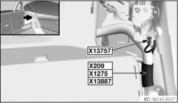 Picture9.jpg