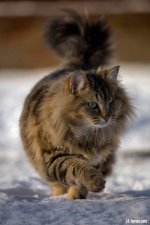 IMG_3494DRP.jpg