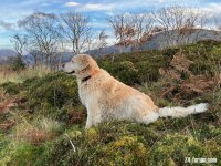 IMG_1731.jpeg