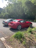 IMG_3155.jpeg IMG_3155.jpeg