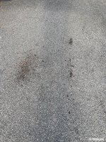 IMG_0075.jpeg