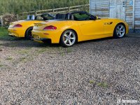 IMG_3976.jpeg