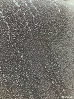 IMG_8350.jpeg