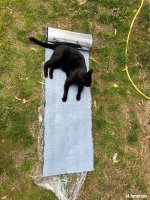 IMG_2389.jpeg
