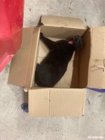 IMG_1120.jpeg